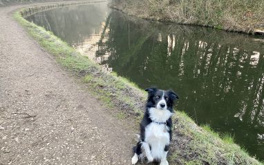 Carnforth canal walk February 2023 09