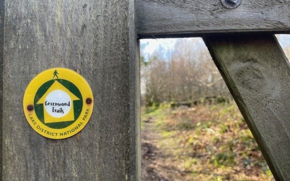 Haverthwaite Heights Greenfell Trail 4